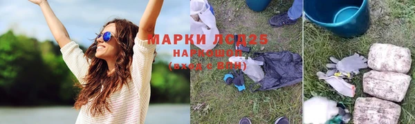 метадон Алексин