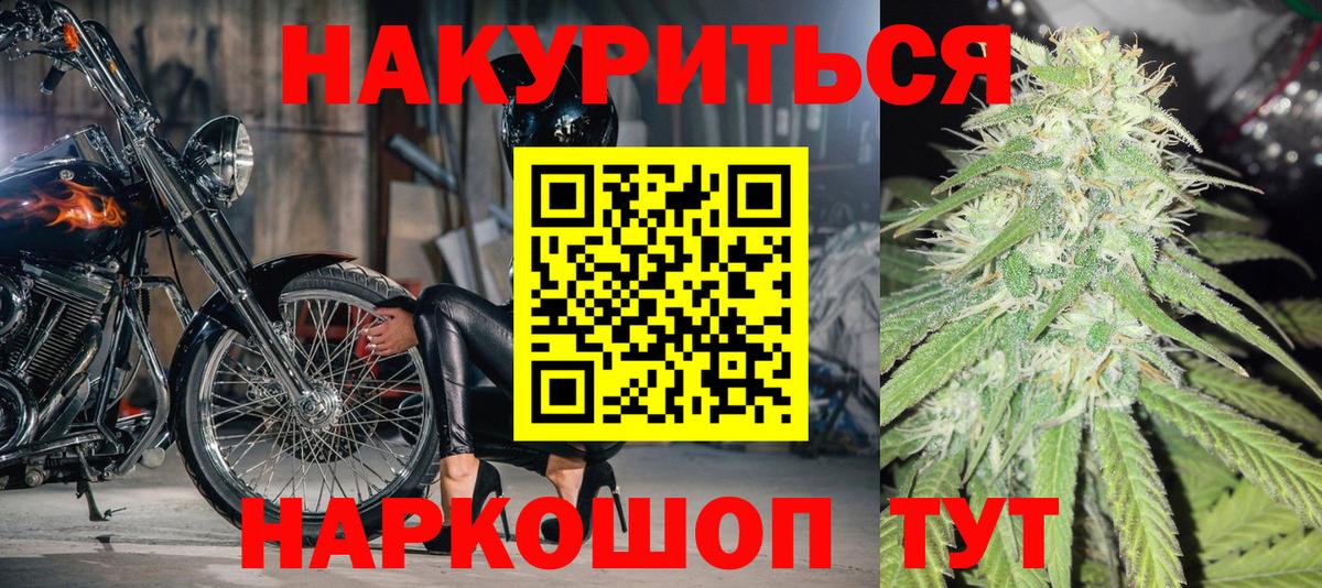 Бошки марихуана семена  Вход с VPN  Киреевск  Шишки марихуана ГИДРОПОН  Каннабис MAZAR  Каннабис индика 